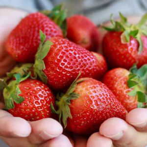 strawberries-1296x728-feature